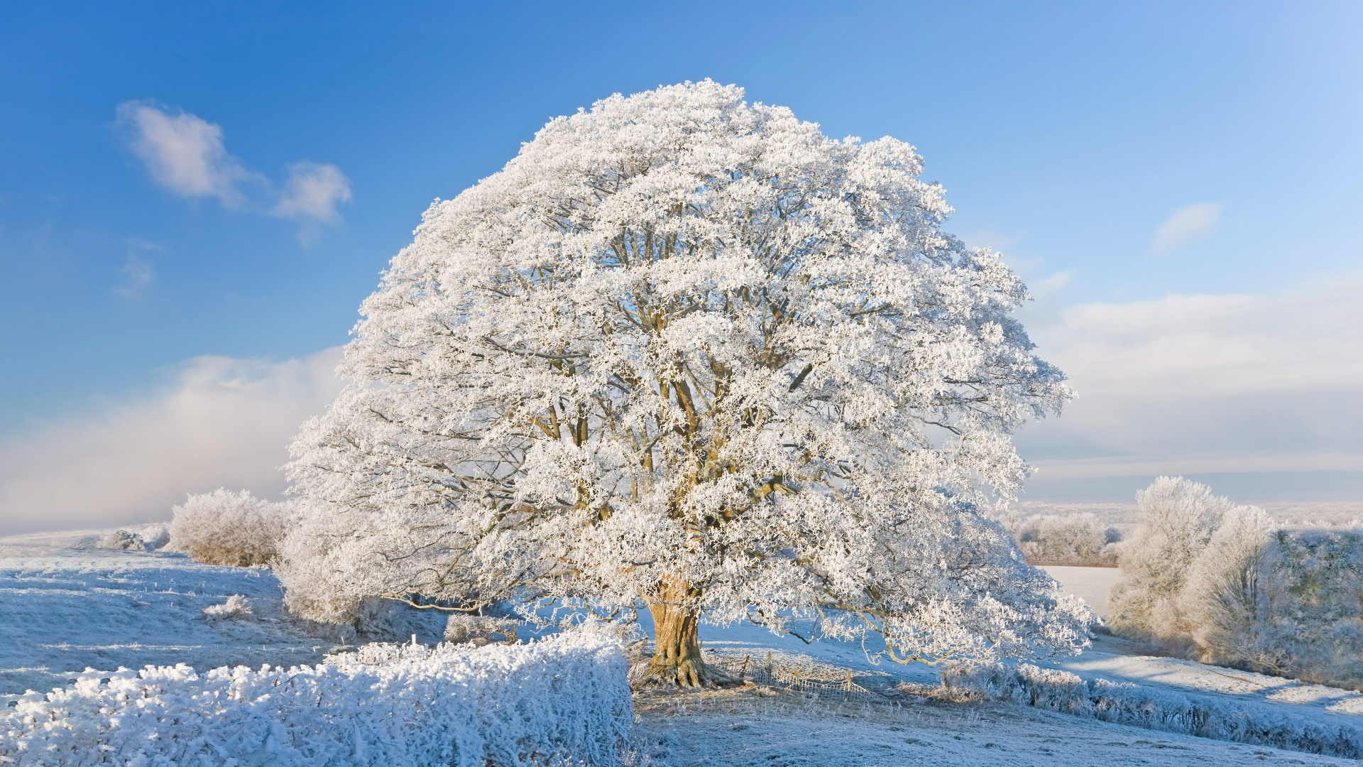 霜雪覆盖下的科茨沃尔德，英格兰.jpg